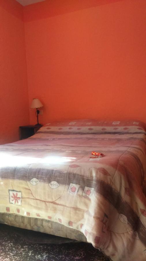 Hostel Internacional Мендоса Екстериор снимка